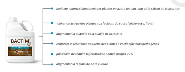 Bactim Endofix label 3