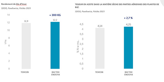 Bactim Endofix label 6