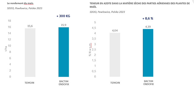 Bactim Endofix label 7