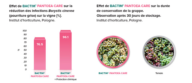 Bactim pantoea care label 7