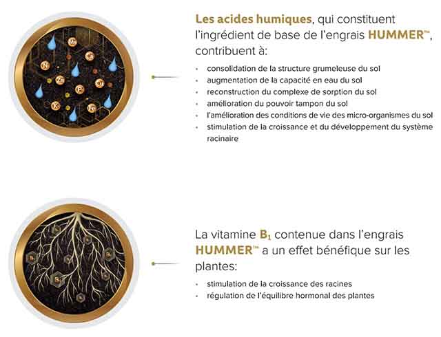 Hummer label 1