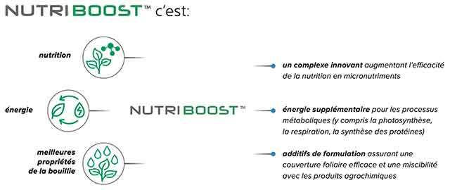 Plonvit label 1